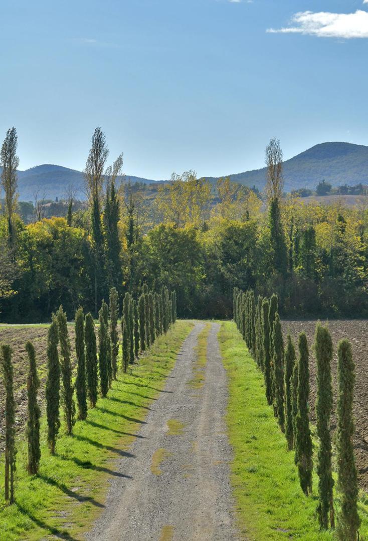 Podere La Querciola กวาร์ดิสตัลโล ภายนอก รูปภาพ